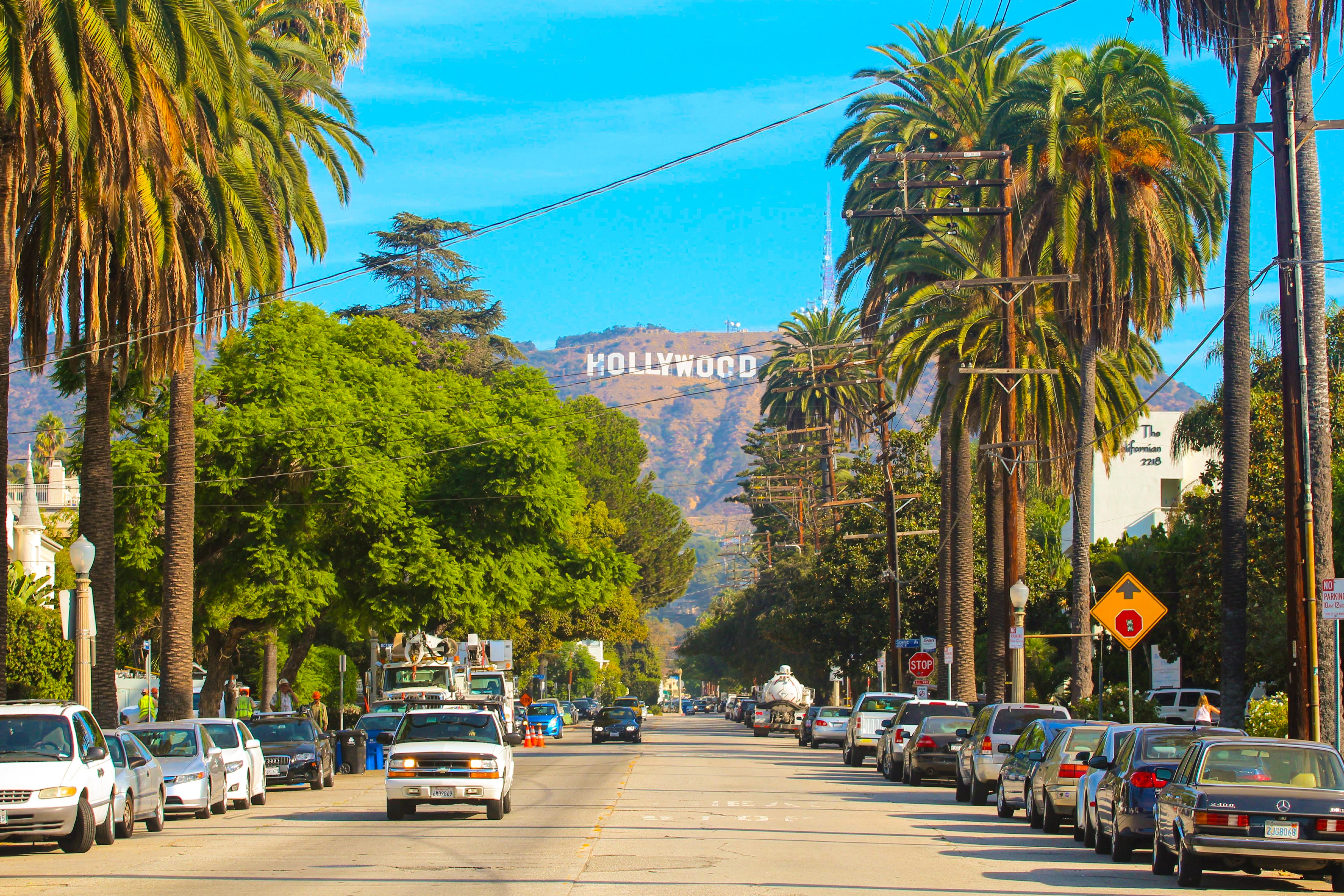 Palm-lined Los Angeles street representing fast, discreet weed delivery in Los Angeles by HERB (21+).