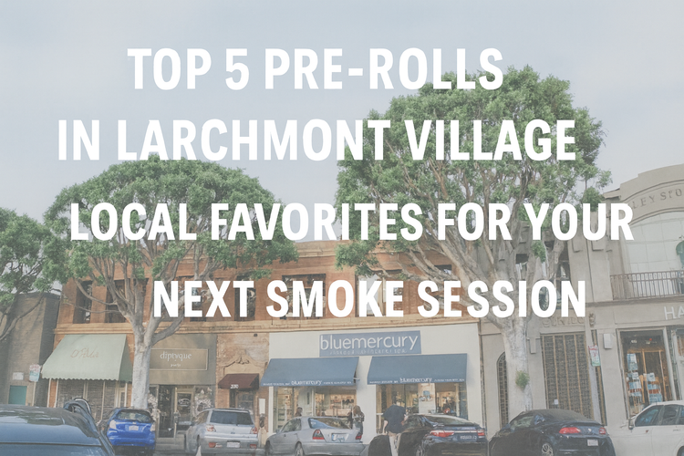 Street view of Larchmont Village in Los Angeles with trees and boutique shops, used as hero image for HERB Delivery’s cannabis pre-rolls blog.