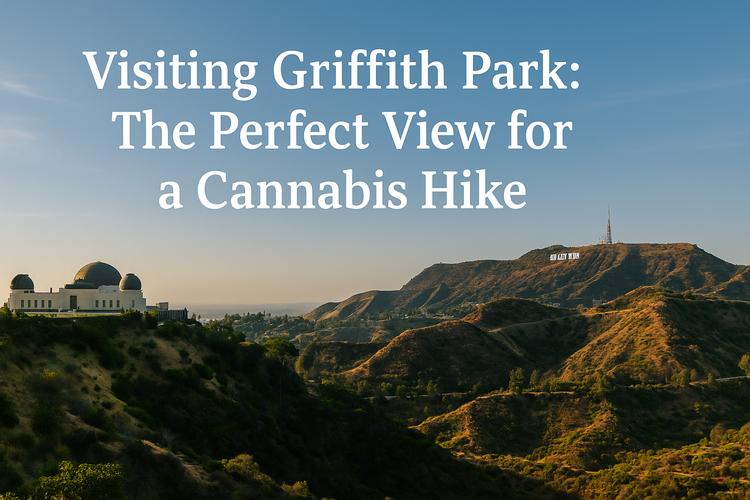 Landscape view of Griffith Park with the Observatory and Hollywood Hills at sunset, used for the blog “Visiting Griffith Park: The Perfect View for a Cannabis Hike