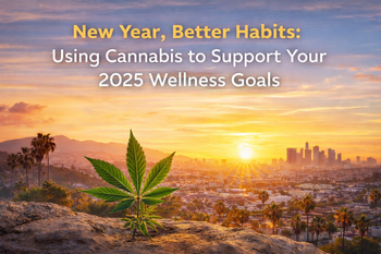 Los Angeles skyline at sunrise representing wellness goals and intentional cannabis use in 2025