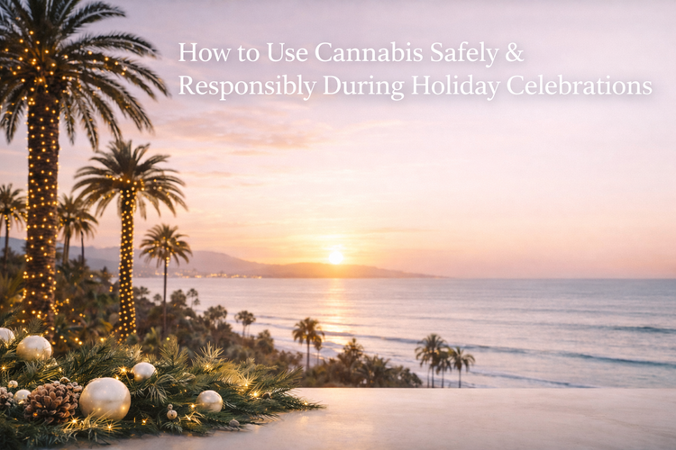 California sunset over the ocean with palm trees wrapped in holiday lights and festive greenery in the foreground.