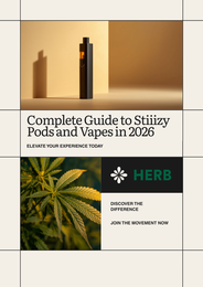 Complete Guide to Stiiizy Pods and Vapes in 2026: Types, Strains, and How to Choose
