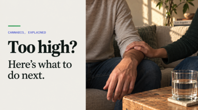 Too High? Here’s What to Do Next